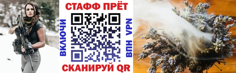 Где продают наркотики Краснознаменск Cocaine  Метамфетамин  ГАШИШ  Меф  MEGA ONION  Alpha PVP 