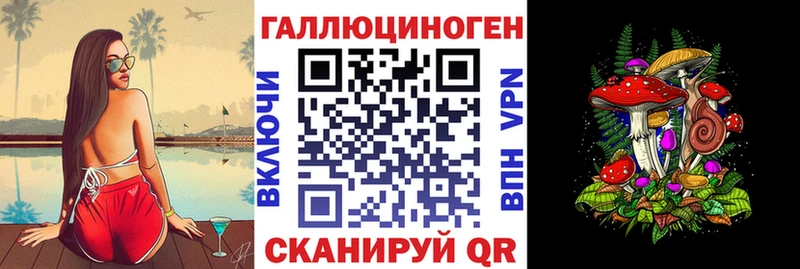 Псилоцибиновые грибы мицелий Краснознаменск